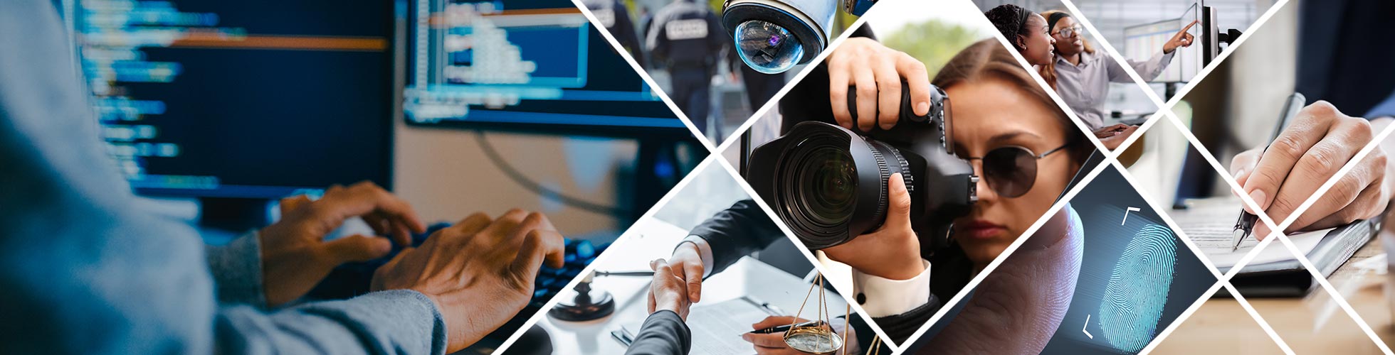 GAPPI collage of photos